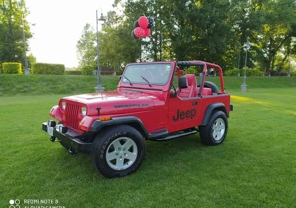 Jeep Wrangler cena 56000 przebieg: 190000, rok produkcji 1995 z Puławy małe 137